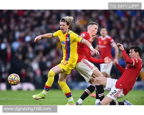 世界足球球星分布格局解析全球顶级球员所属国家与联赛